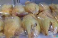 Galinha Limpa Preco Venda Compra Mf Rural