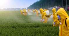 Saiba como o manejo adequado de pesticidas pode diminuir os riscos de acidentes e contaminação