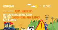 Enel Distribuição Goiás alerta sobre os cuidados com a rede elétrica na zona rural