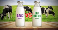 Leite A2A2 e leite sem lactose: entenda as diferenças e como impactam a digestão