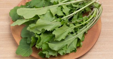 Rúcula, do quintal à mesa: uma salada fresca e deliciosa