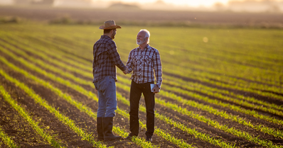 Contratos agrários atípicos: principais aspectos do contrato de comodato rural