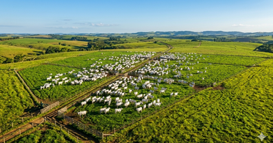Pastagem produtiva: como formar, manejar e aumentar a lotação por hectare