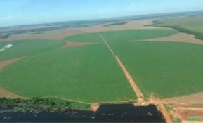 Fazenda 9000 hectares no Paraguai