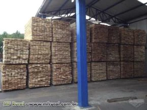 Madeira Serrada de Eucalipto para embalagens - 100% reflorestada