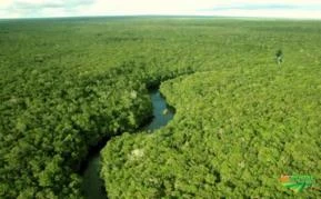 Áreas na Amazônia