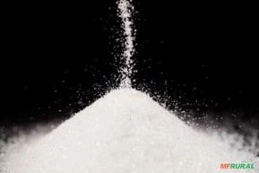 Venda de Açúcares para Exportação