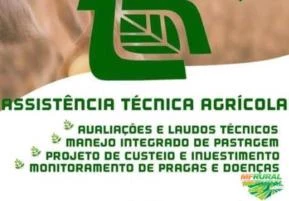 Assistência técnica agrícola