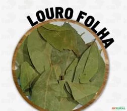 LOURO FOLHA