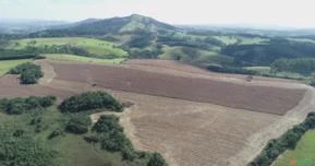 Arrendamento para Pecuária e Agricultura em Minas Gerais