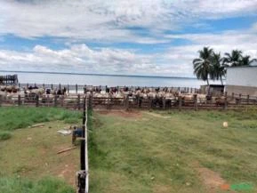 Fazenda a venda nas margens do Rio Xingu