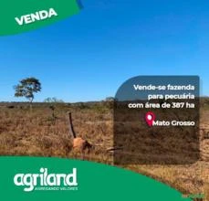 Fazenda em Bom Jesus do Araguaia - MT