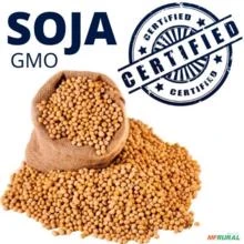SOJA GMO - COM CERTIFICAÇÃO