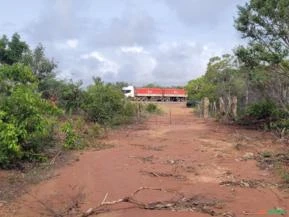 Terra a venda em São Gonçalo do gurgueia Piauí 501 hectares em cima da serra bruta e plana