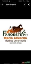 Médica Veterinária de animais de produção