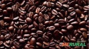 CAFÉ EXPORTAÇÃO - GRÃO VERDE, TORRADO OU MOÍDO 100% ARÁBICA
