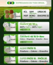 Fertilizante Ureia 46% - Granulada - Fertilizante uso agrícola - Registro MAPA - Garantia Teores
