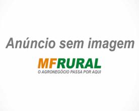 DOBRADIÇA FERRADURA PARA PORTÃO DE INSTALAÇÕES RURAIS