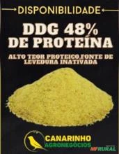 DDG 48% PROTEINA