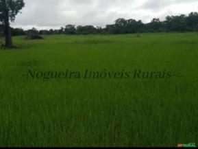 Fazenda em Formoso do Araguaia TO