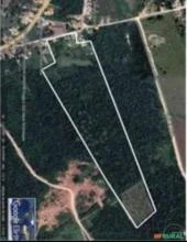 Fazenda Estrela Guia localizada em Santarém Pará