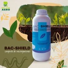 BAC- Shield