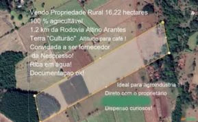Sitio com 16,2 hectares em Santo Antonio da Alegria - MG