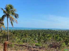 Terreno com Vista para o Mar em Tatuamunha, Alagoas
