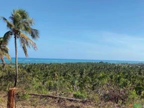 Terreno Exclusivo com Vista para o Mar em Tatuamunha, Alagoas