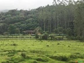 Fazenda com 878,2 Hectares em Lontras / Apiúna - SC - Reflorestamento