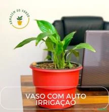 Vaso Autoirrigável Plantas Escrita Mainha - Coleção I Love Nordeste Vermelho -  COLOR: Preto