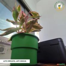 Vaso Autoirrigável Plantas Escrita Painho - Coleção I Love Nordeste Verde