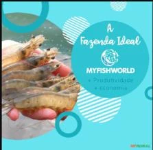 A Fazenda Ideal MyFishWorld 🌾 🦐🐟 (Produção de Peixes e camarões)