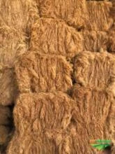 fibra longa de coco seco
