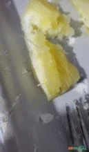Vendo mandioca amarela