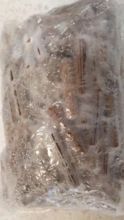 Shitake - cavilhas inoculadas com micélio de cogumelo shitake