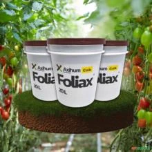 Foliax CAB Fertilizante Foliar Rico Em Cálcio e Magnésio Enriquecido Com Substâncias Húmicas