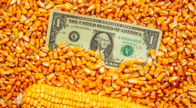 Entenda como o Brasil superou os EUA na exportação de milho