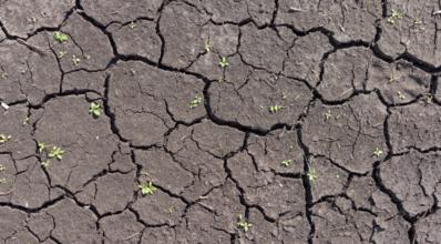 La Niña e El Niño: entenda o que são e quais os seus efeitos na agricultura