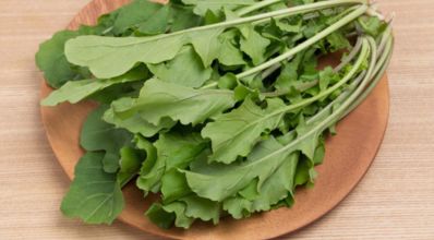 Rúcula, do quintal à mesa: uma salada fresca e deliciosa