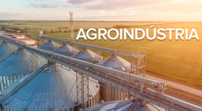 Agroindústria: o que é, regulamentação e boas práticas