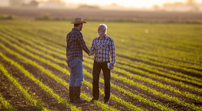 Contratos agrários atípicos: principais aspectos do contrato de comodato rural