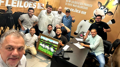 É recorde! Fêmea Dorper atinge maior valor da história no MF Leilões