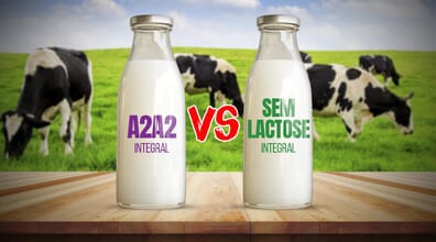 Leite A2A2 e leite sem lactose: entenda as diferenças e como impactam a digestão