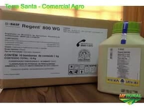 Regente 800 Wg em Uberlândia MG à venda. Compre direto 646797