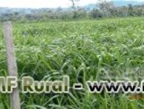 FERTILIZANTES ADUMAT