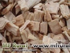 CAVACO DE ACACIA NEGRA