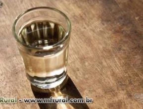 cachaça