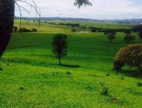 FAZENDA EM ITABERAI