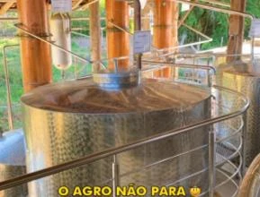 Cachaça artesanal